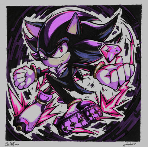 12 - Shadow the Hedgehog
