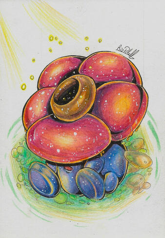 Vileplume